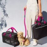 Size Pet Carrier Will Fit Under an Airline Seat