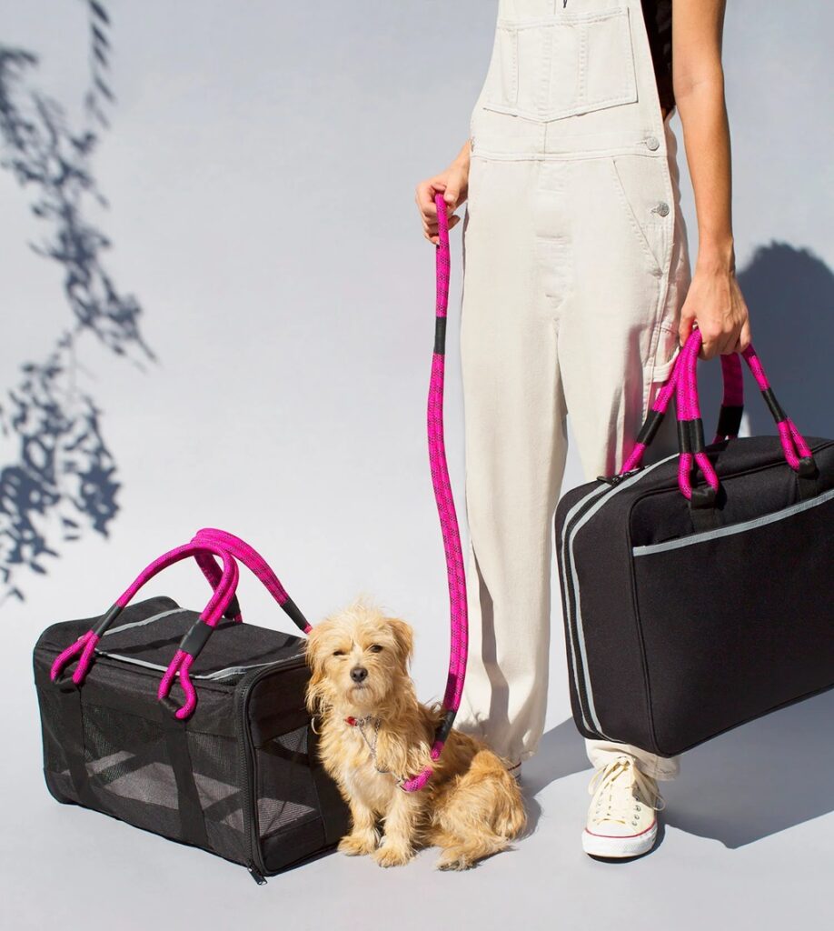 Size Pet Carrier Will Fit Under an Airline Seat